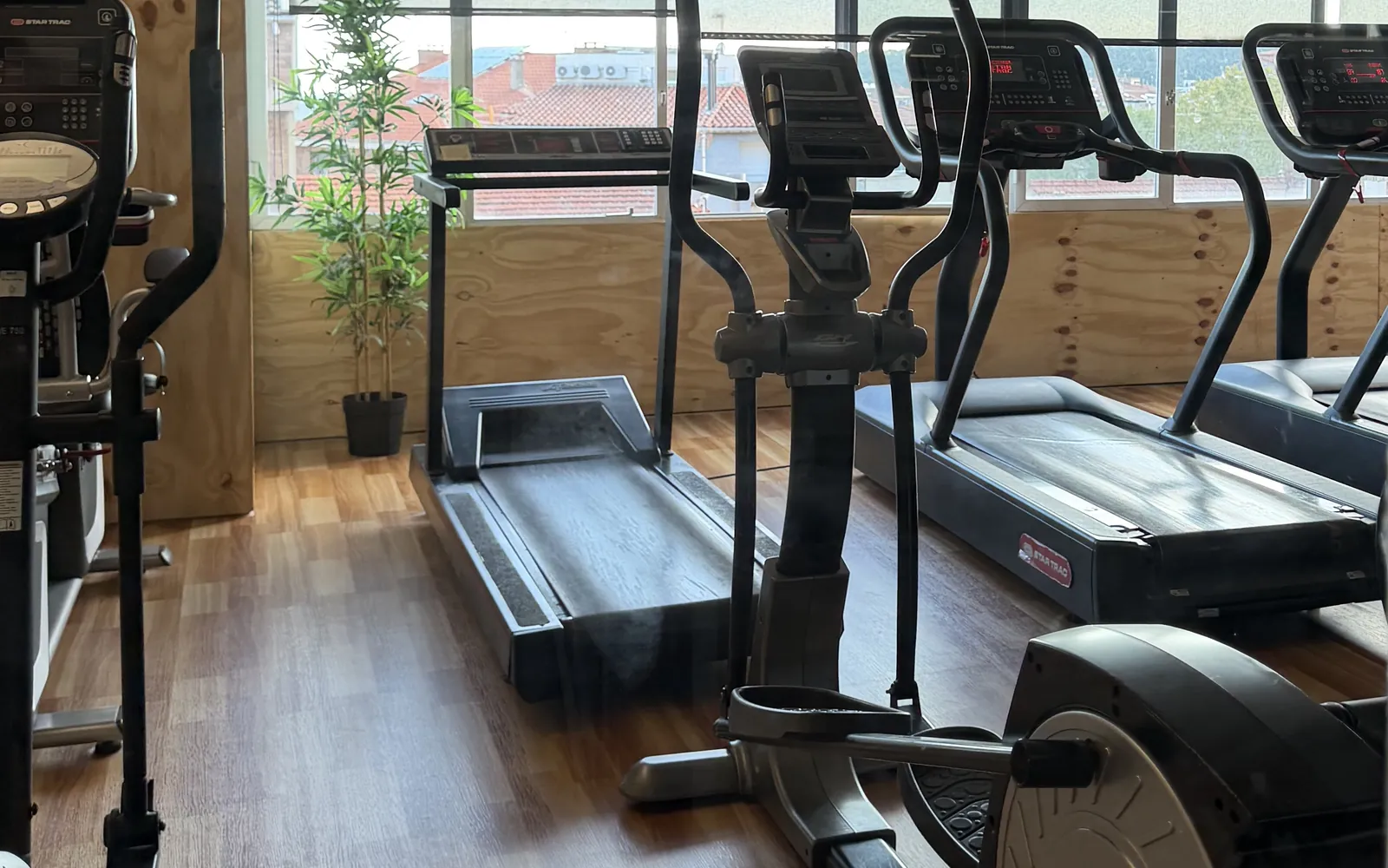 La sala de cardio: cintes de córrer i el·líptiques davant d'un finestral, amb terra de fusta i una planta