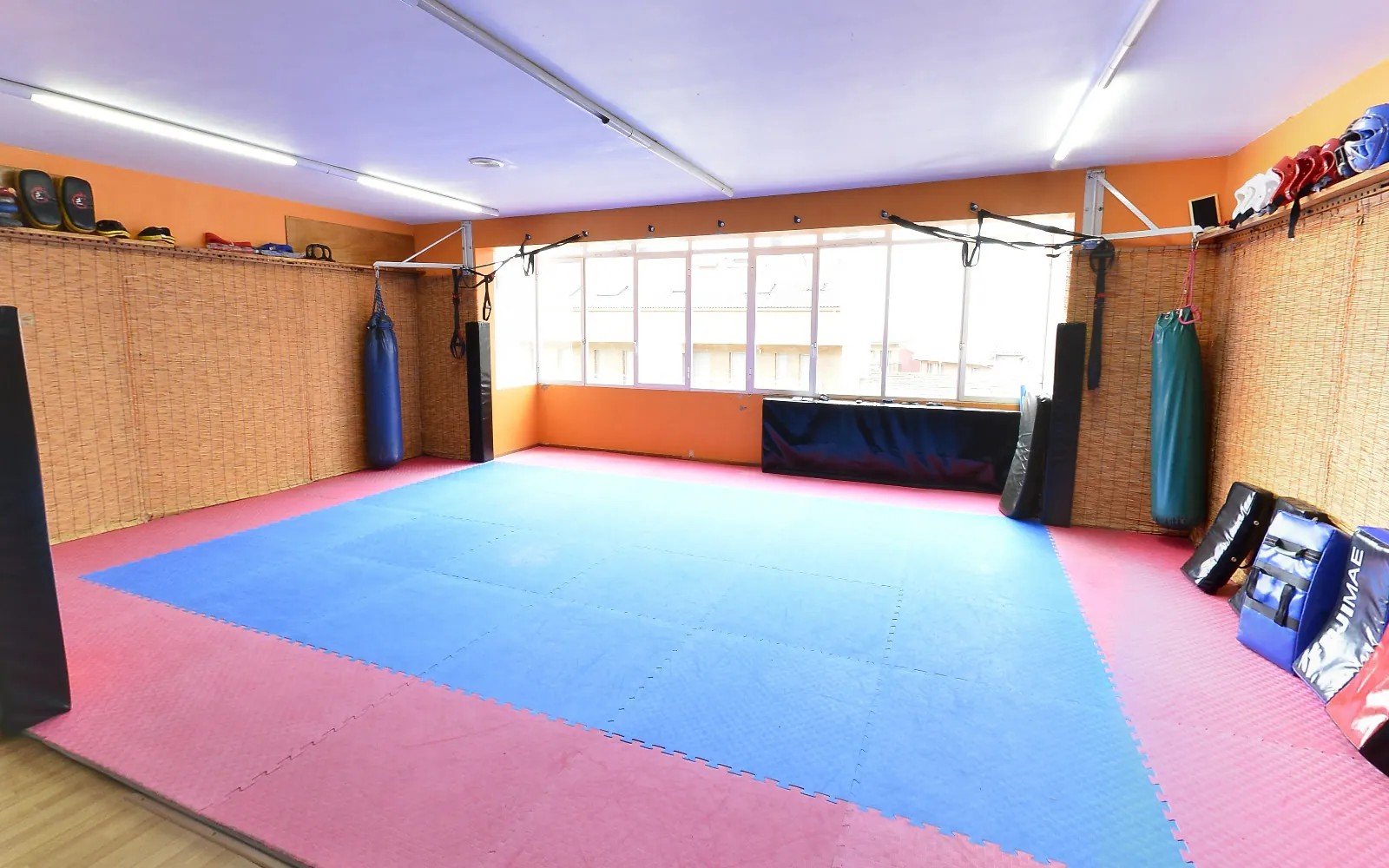 El dojo buit, amb el tatami blau i rosa i el finestral
